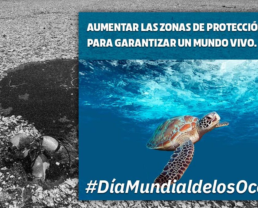 8J Día Mundial de los océanos